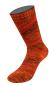Preview: Eine Socke aus Meilenweit 100 Sooty Farbe 6225